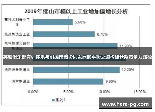 英超俱乐部青训体系与引援策略协同发展的平衡之道构建长期竞争力路径
